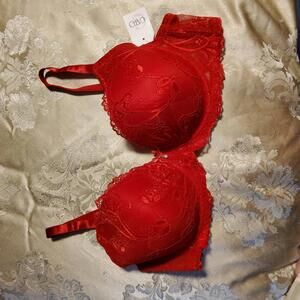 NWT 42C Ruby Bra underwire